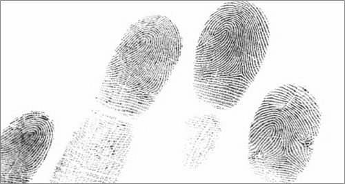 fingerprint